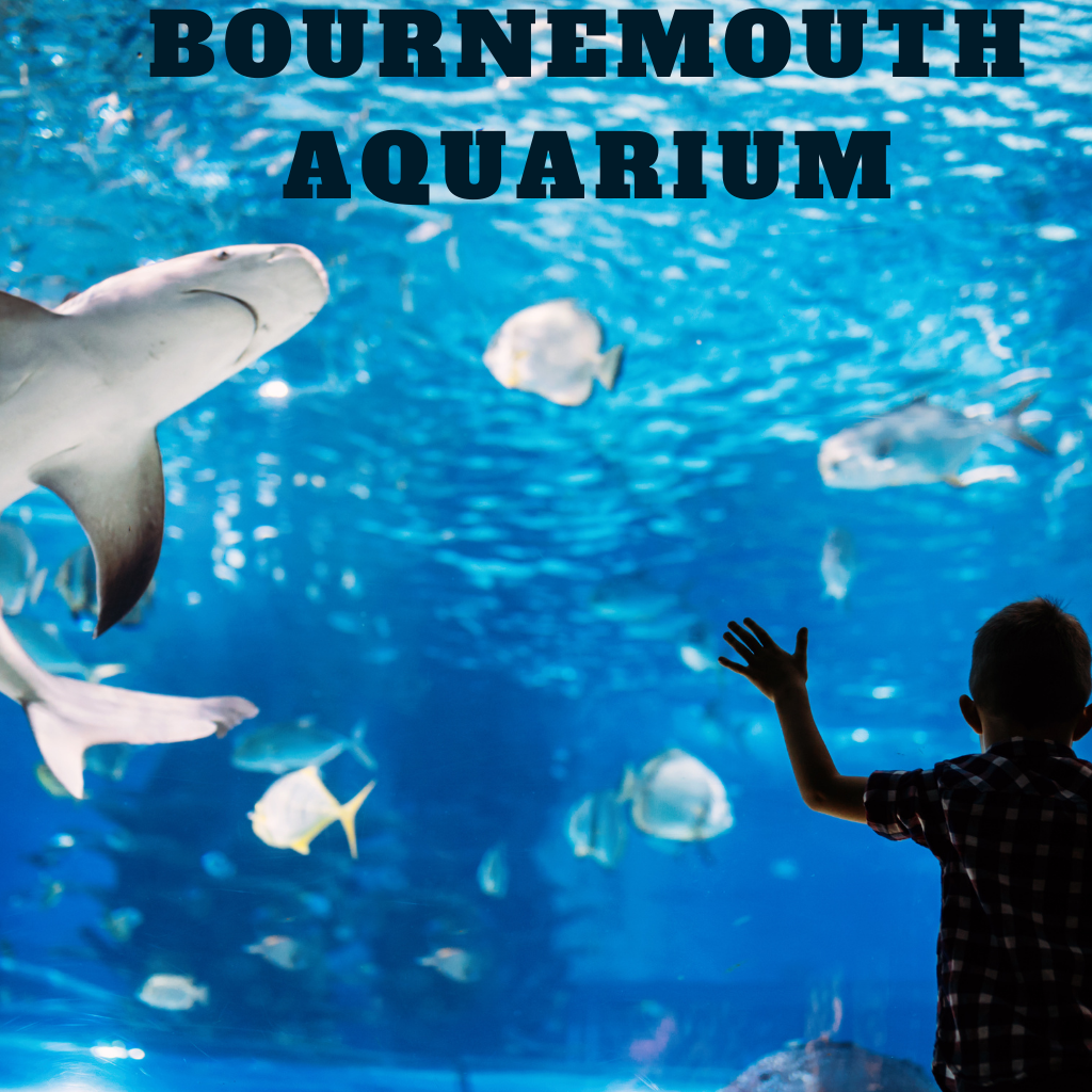 BOURNEMOUTH AQUARIUM