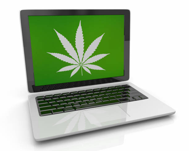 Navigating the Reality of Searching “where can i buy weed edibles online” — Legality, Risks, and What You Should Know